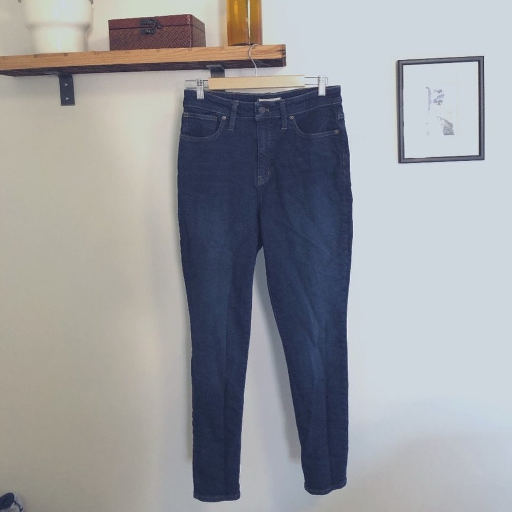 Madewell Curvy High-rise Skinny Jeans - Orland -29